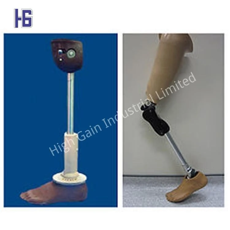 Composite Prosthetic Leg